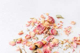 Dried light pink roses in pieces on a white surface.
