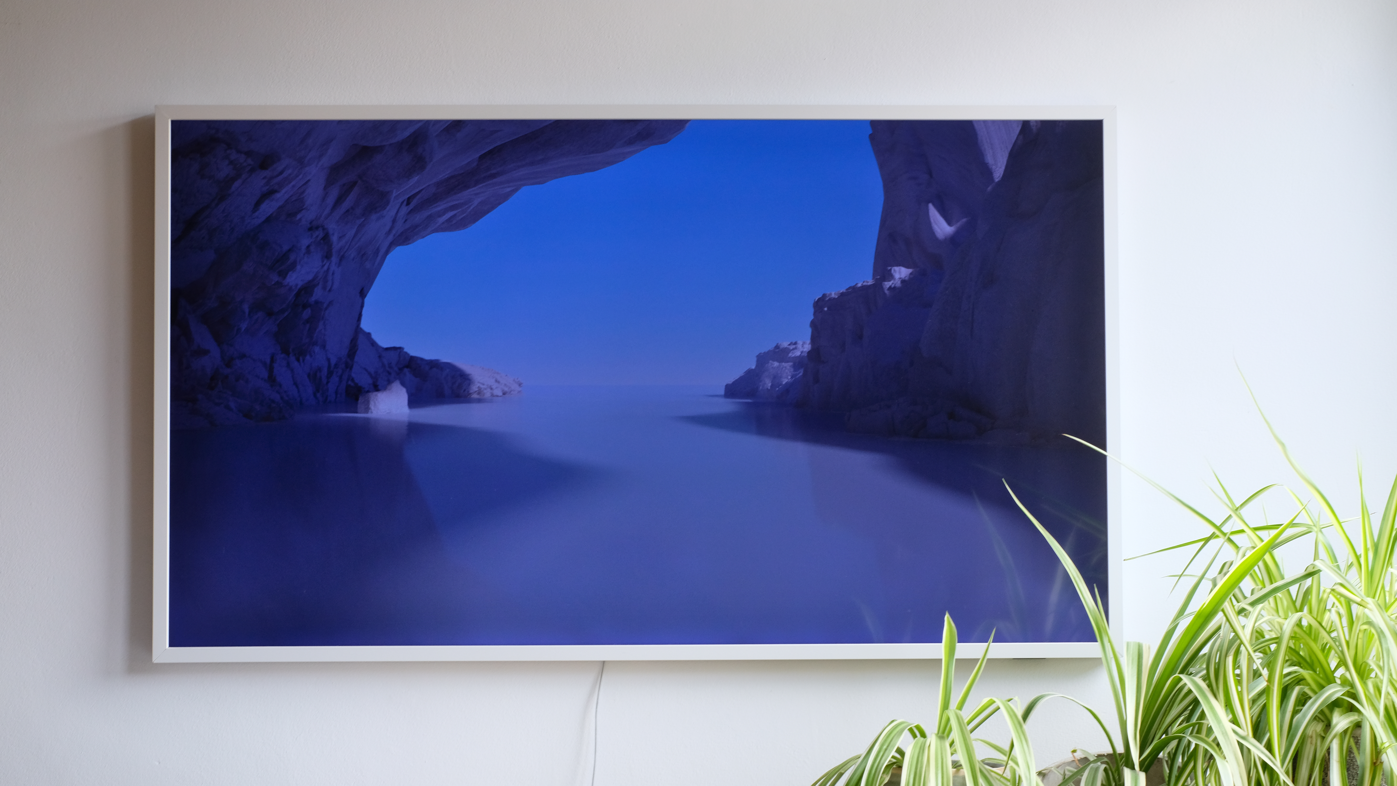 Photograph of Samsung The Frame TV mounted to wall with some spider plants in bottom right corner