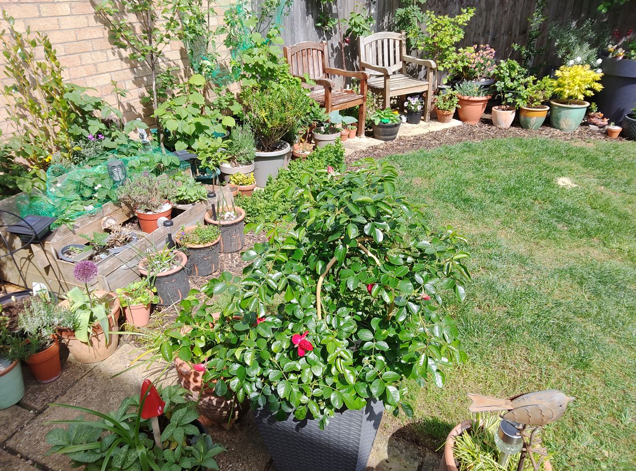 Lenovo ThinkTab X11 Gen 1 Photo Examples