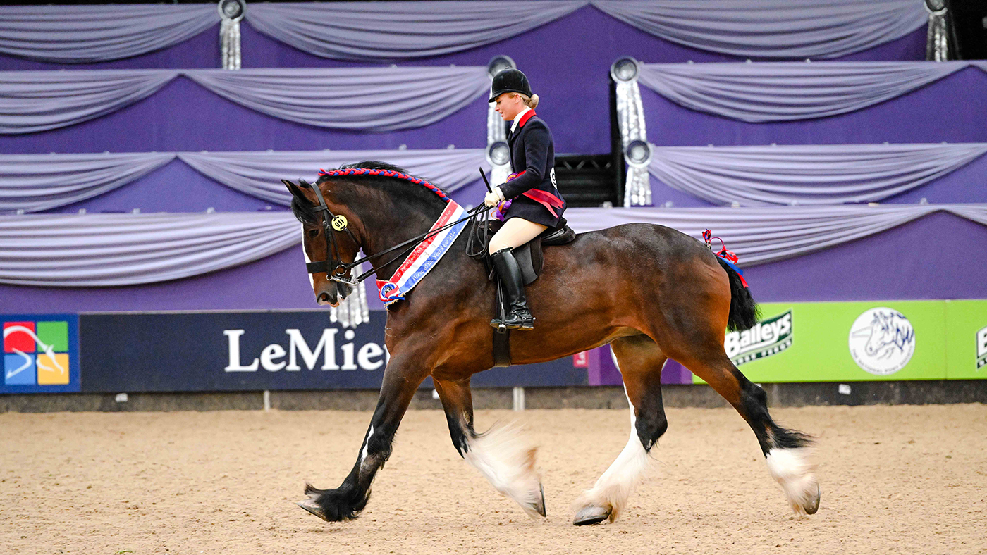 2024 HOYS ridden heavy horse winner
