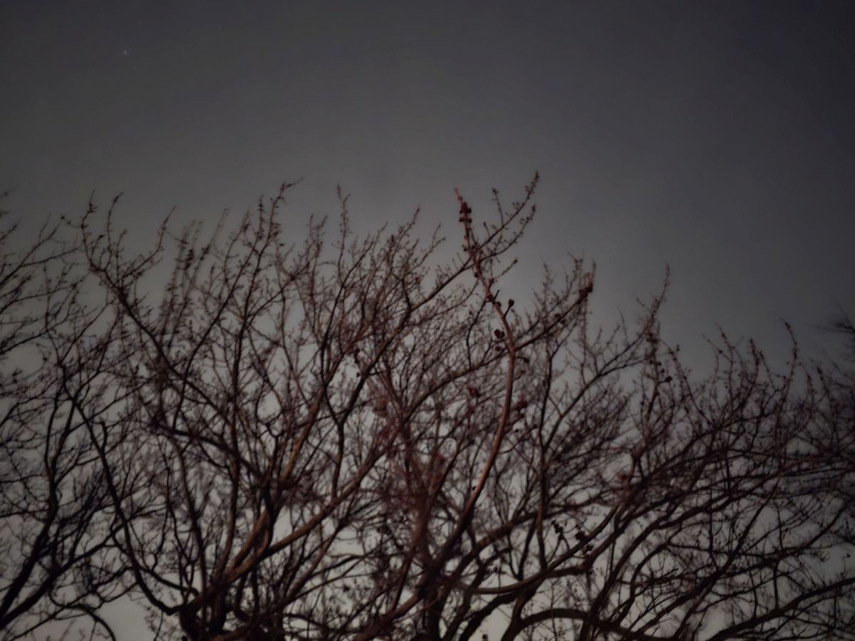 Samsung Galaxy S24 Ultra low light sample.
