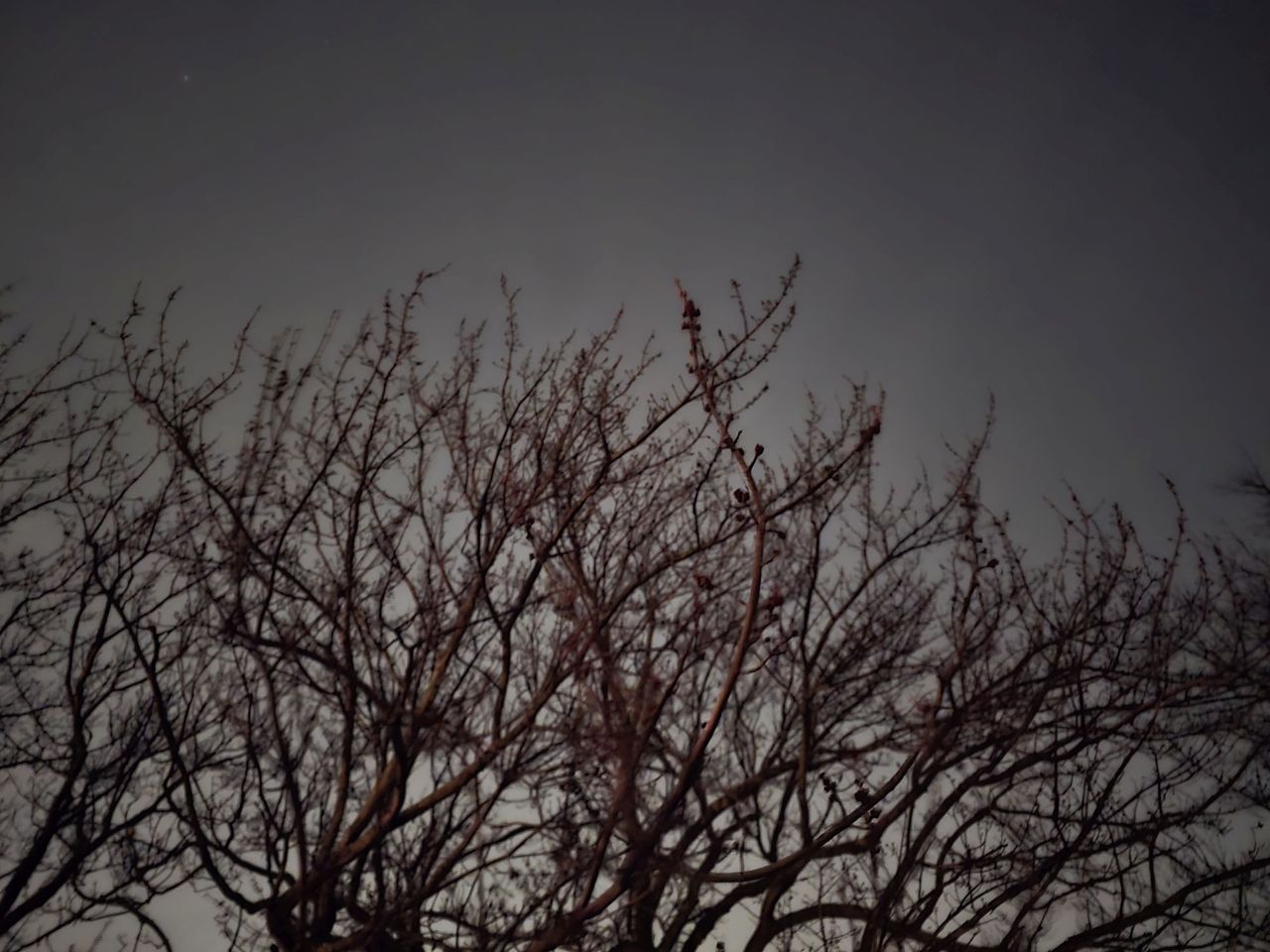 Samsung Galaxy S24 Ultra low light sample.