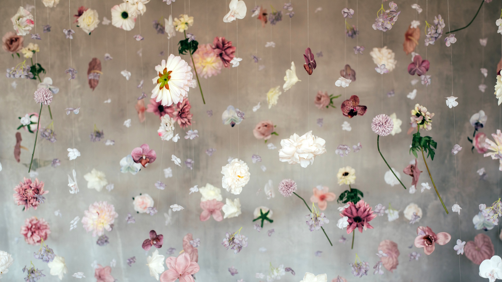 Gray background with flowers suspended on strings as if floating