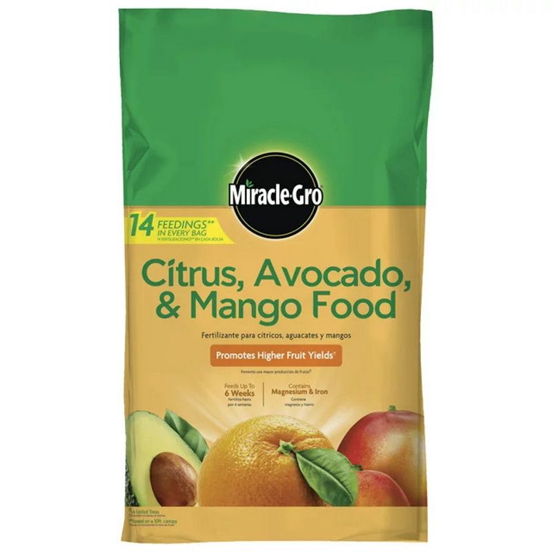 When to fertilize citrus trees with expert tips homes and gardens