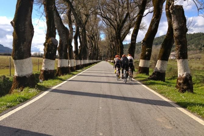Optum p/b Kelly Benefit Strategies training in Portugal.