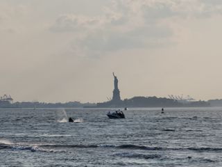 Samsung Galaxy Note 20 Ultra camera roll