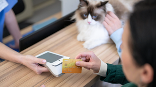 Person tapping a bank card on a reader that's held by another person's hand. A cat sits on the table in the corner and looks at the payment being made