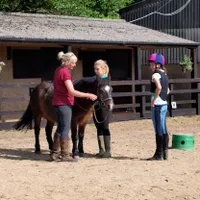 Horse riding lesson – £35 Horse riding lesson – £35