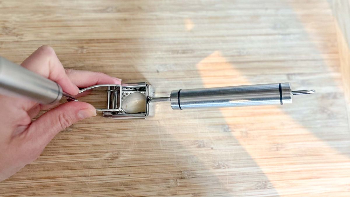 ORBLUE Garlic Press