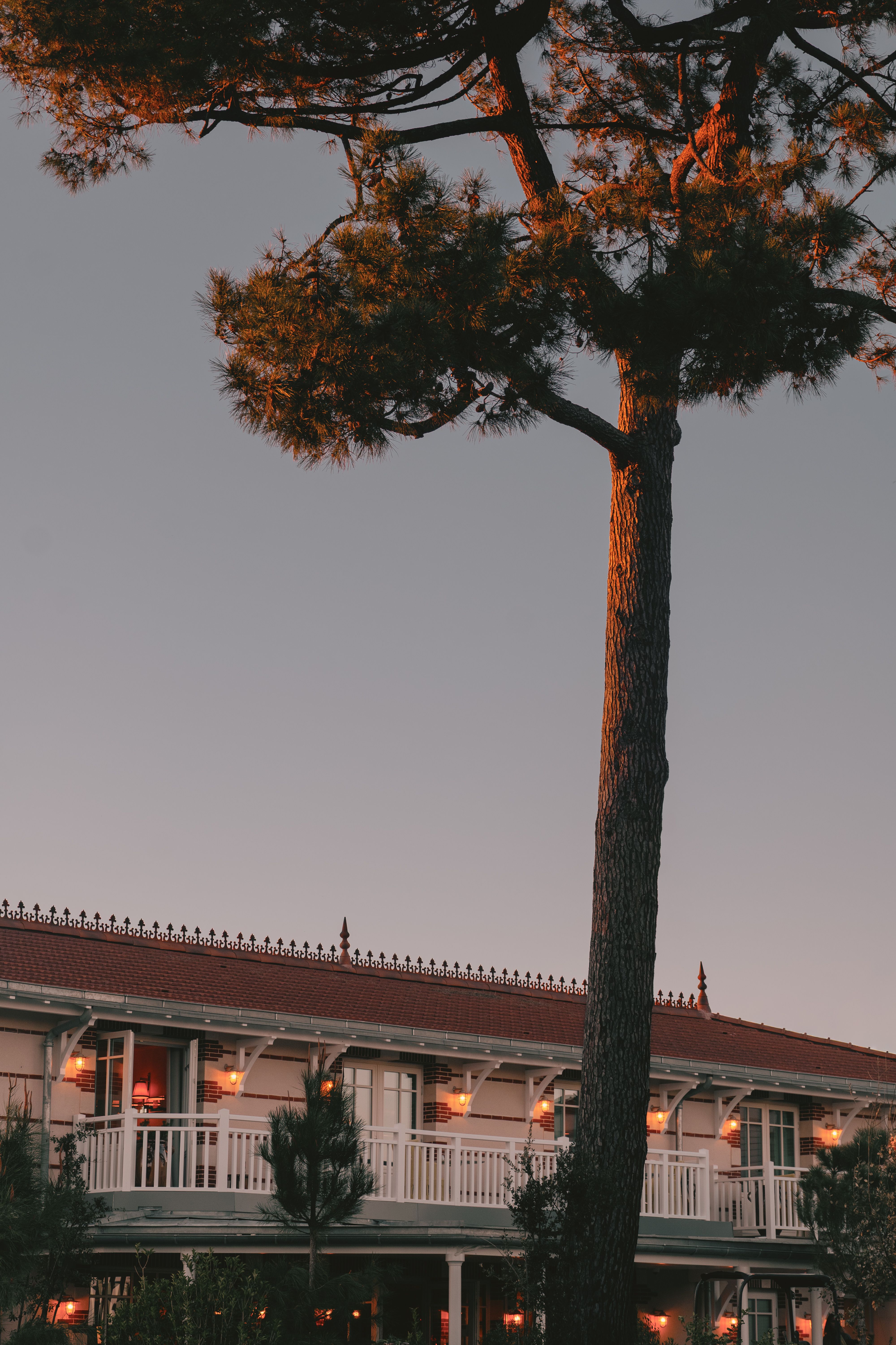 The sun-filled, white-washed interior and exterior of a coastal hotel decorated with modern rustic, elegant furnishings, reflective surfaces, and thriving plants, mimicking the lush outdoors.