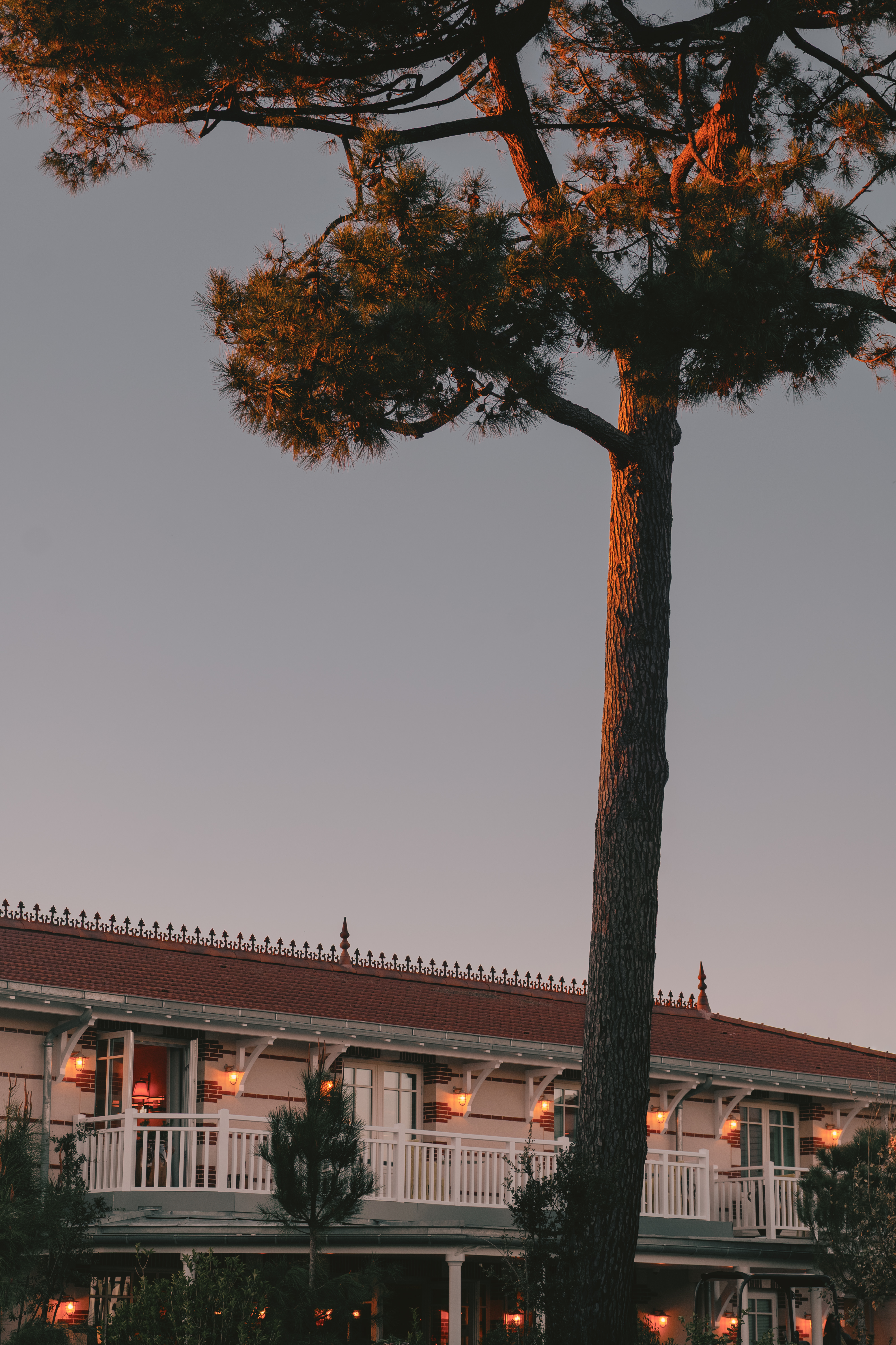 The sun-filled, white-washed interior and exterior of a coastal hotel decorated with modern rustic, elegant furnishings, reflective surfaces, and thriving plants, mimicking the lush outdoors.