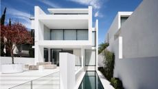 Bellevue House with a white exterior and a Japanese red maple tree in the back yard
