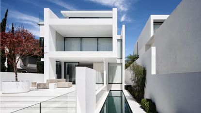 Bellevue House with a white exterior and a Japanese red maple tree in the back yard