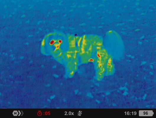 Night vision photo taken with the Pulsar Axion XQ30 PRO night vision monocular