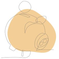 Illustration of a piggy bank on an orange background