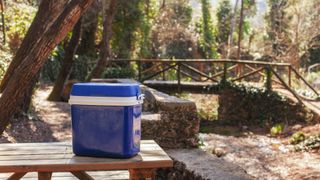 best camping coolers: cooler box on a bench