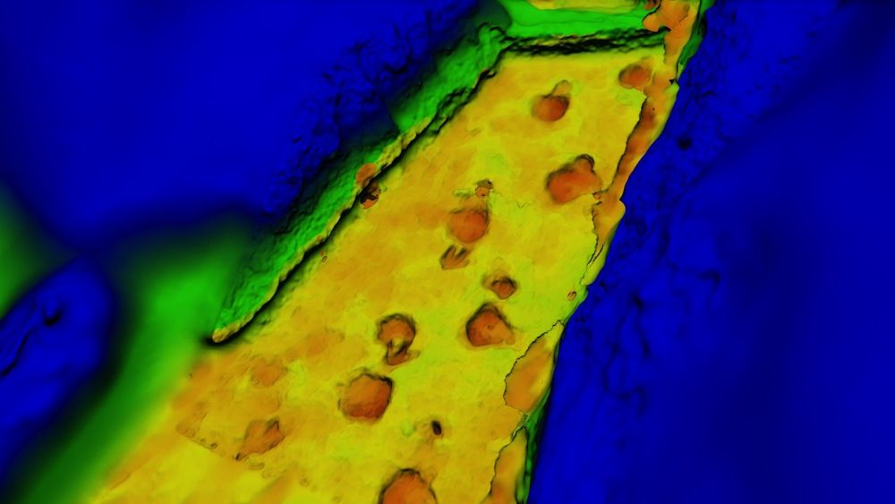 dinosaur track reconstruction