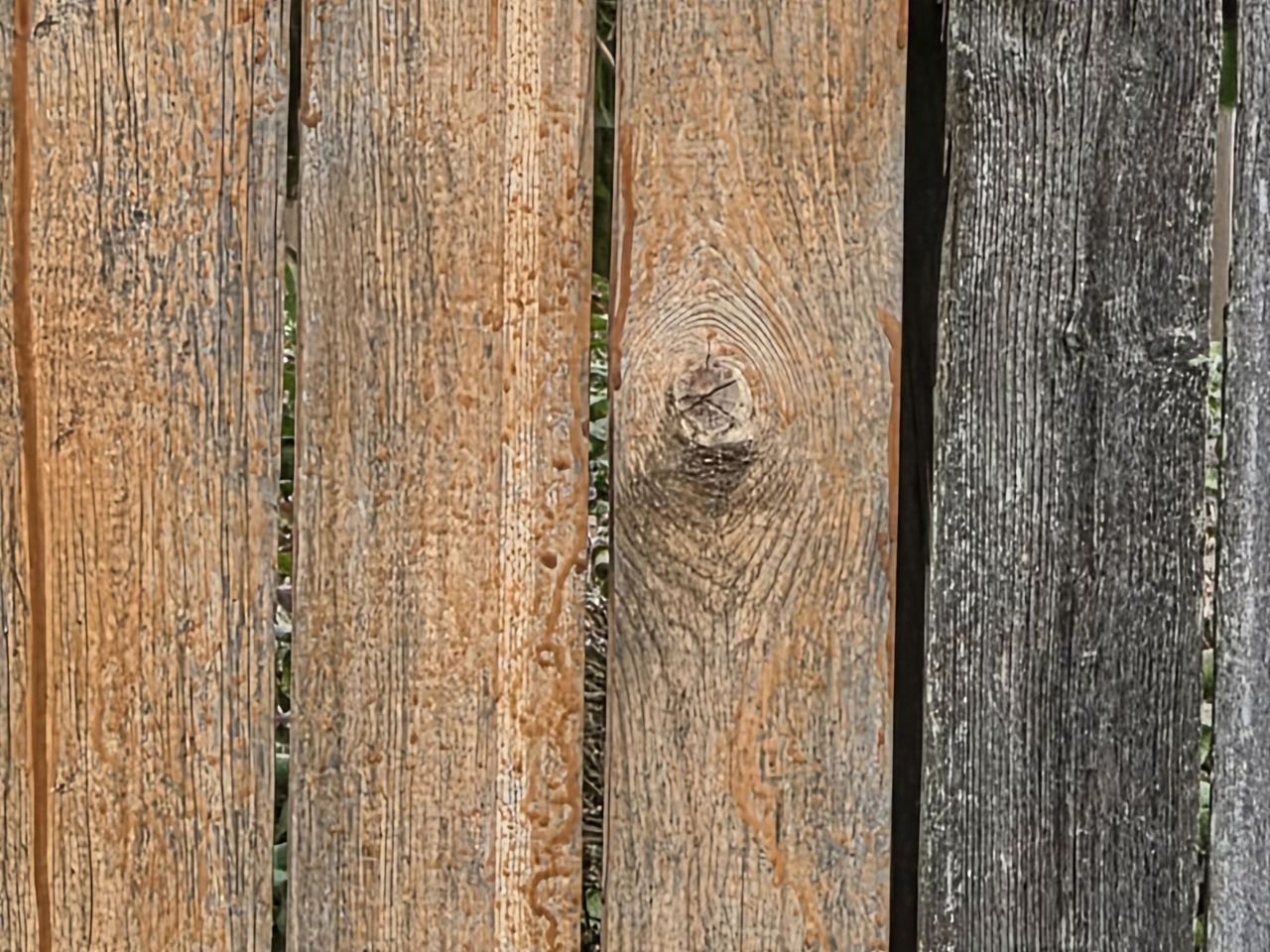Samsung Galaxy S25 Ultra zoom sample.