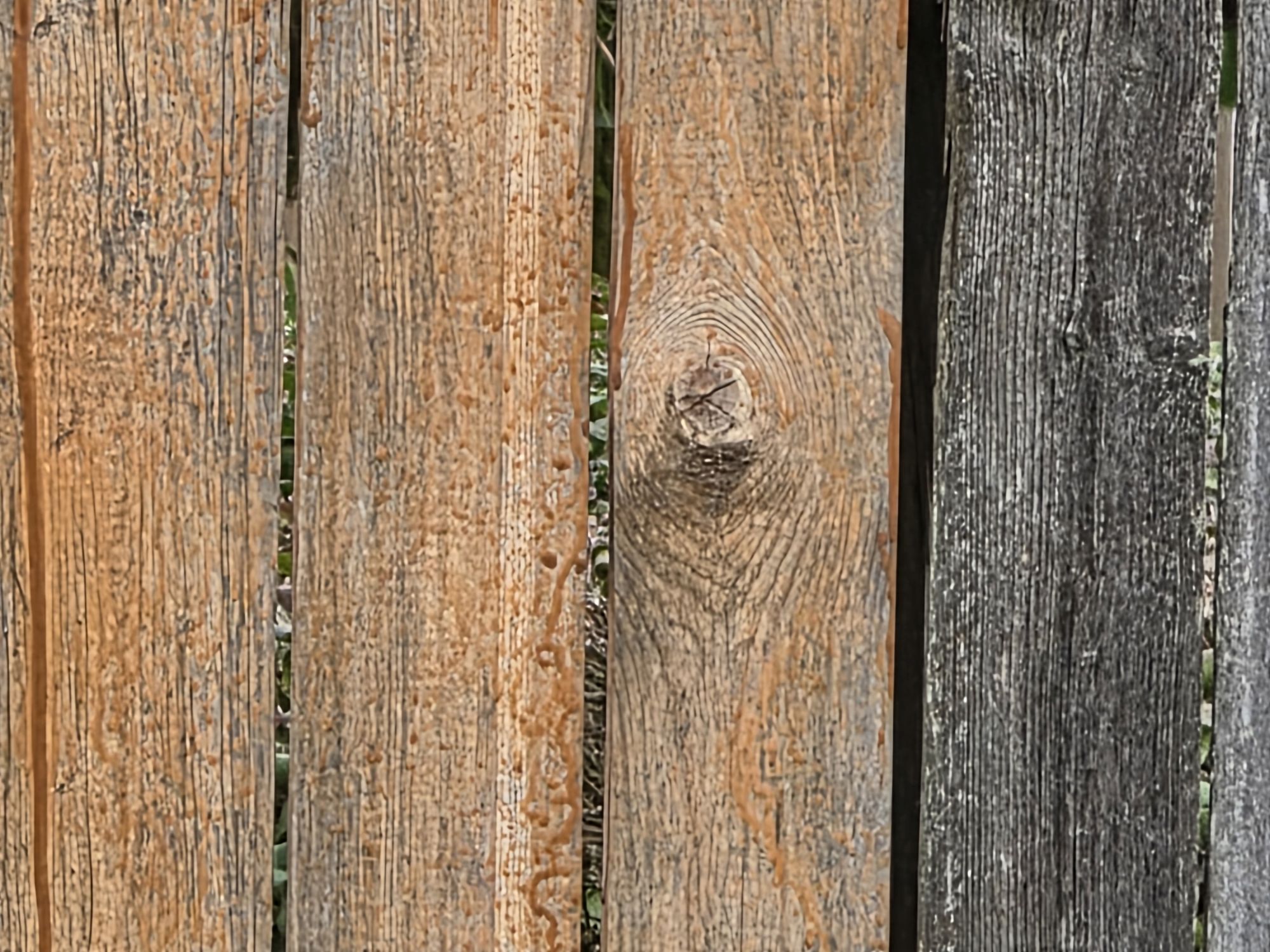 Samsung Galaxy S25 Ultra zoom sample.