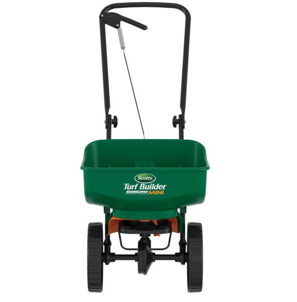 How to kill weeds but not grass experts 6 methods