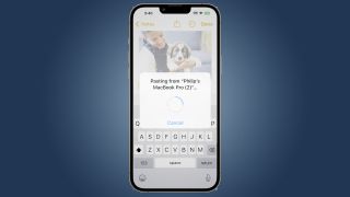 Apple iPhone screen shots showing text and image selection options