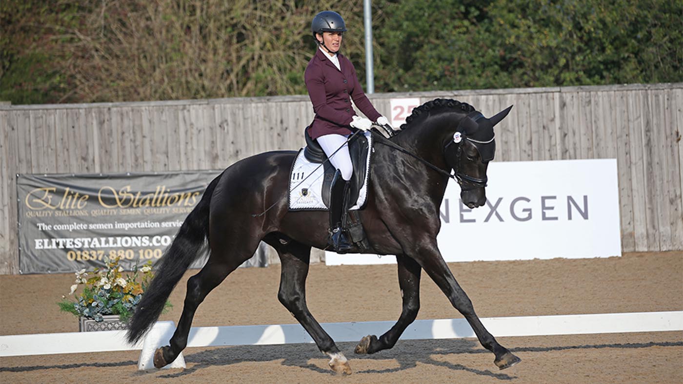NEXGEN-young-dressage-final.jpg