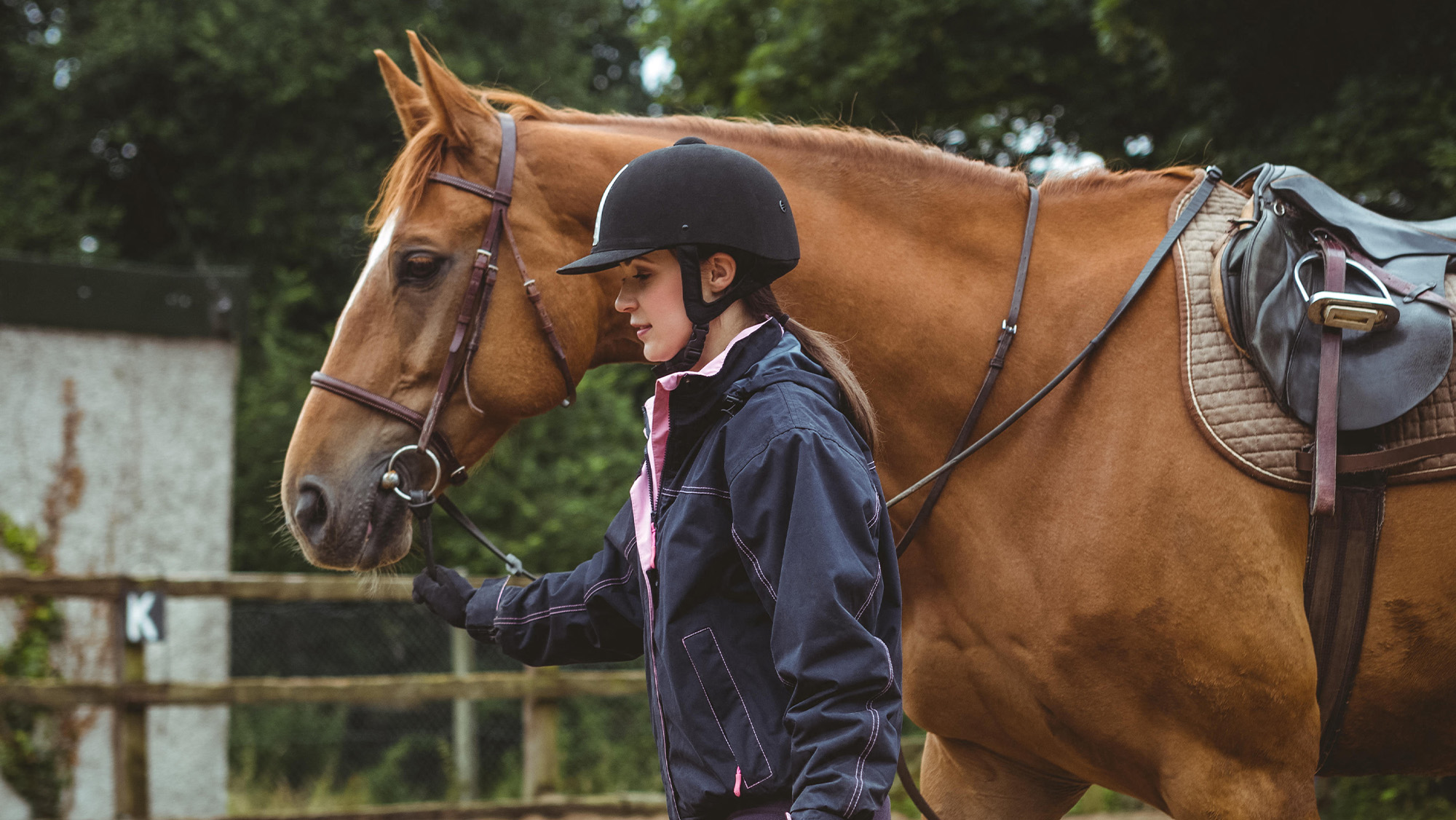 Rider leading horse in hand