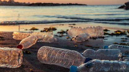 Plastic bottles on beach.