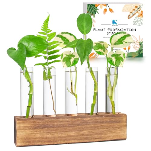 Kaxyew Plant Propagation Station, Plants Propagation Tubes, Gifts for Plant Lovers, Plants Cutting Holder Test Tube Vase Office Desk Garden D&amp;eacute;cor Gift for Her Mom Women Hydroponic Vase Gift Box