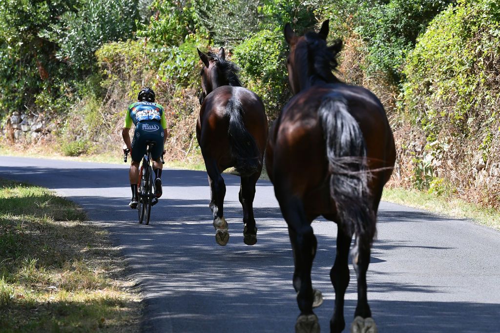Riccardo Stacchiotti of Italy and Team Vini Zabu' KTM / Horses / Poggio Capanne Village / during the 55th Tirreno-Adriatico 2020, Stage 3