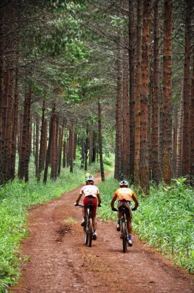 Kevin Evans and Burry Stander race through the forests of Sabie.