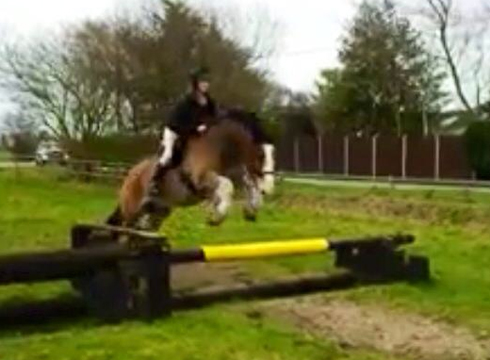 Hovis jump