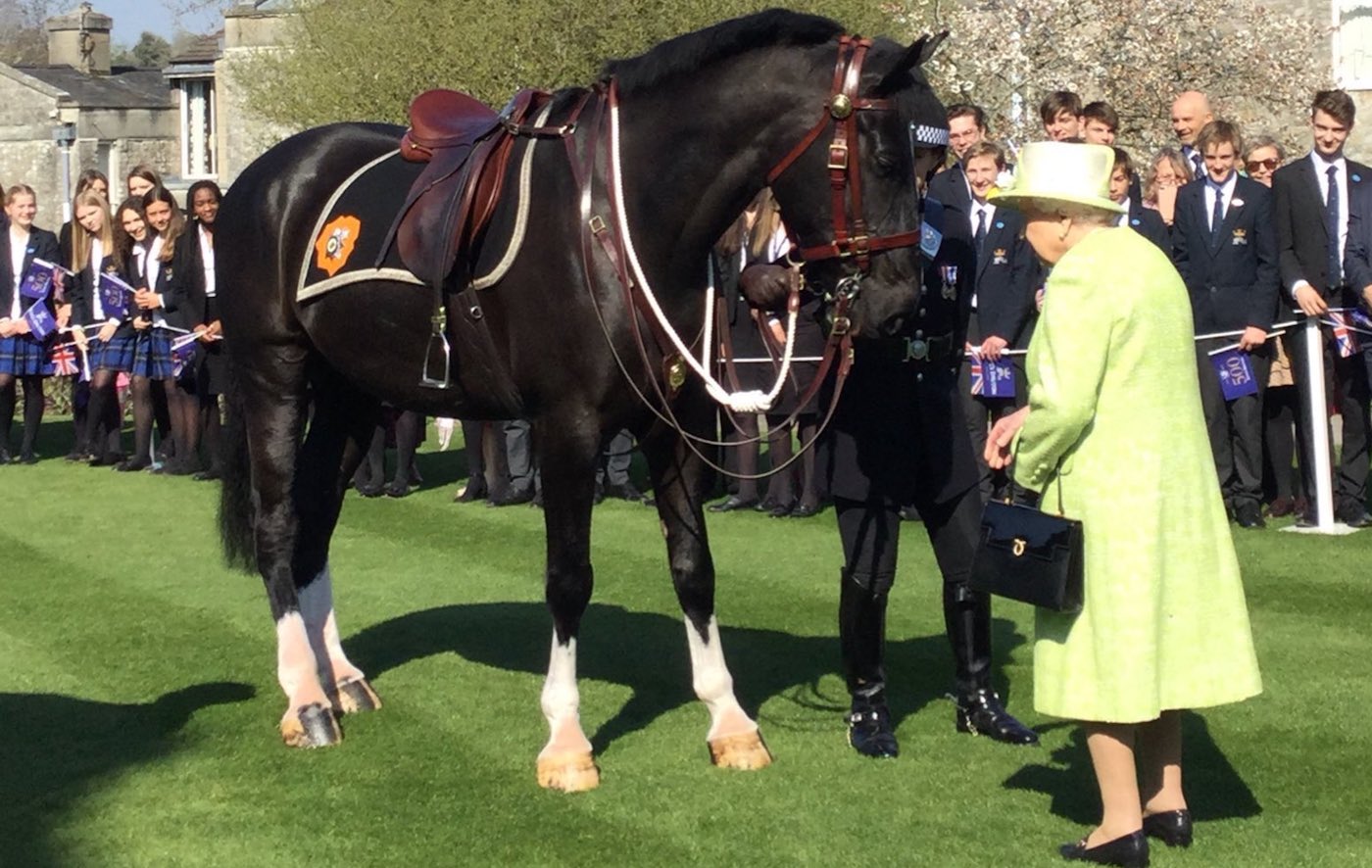 Windsor-copy.jpg