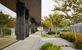 Plants texture complimenting building view
