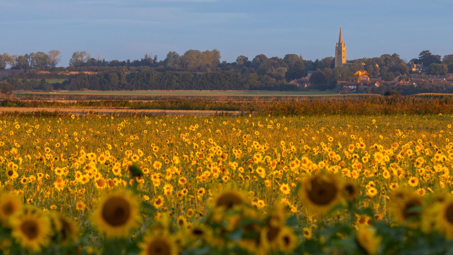 I can’t wait to start these 5 photo projects in 2025! | Digital Camera ...