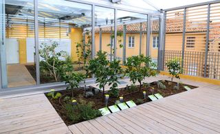 Daytime, outside roof terrace image, wooden slat floor, with soiled planting area with plants, mirrored wall, surrounding buildings in the backdrop, blue sky