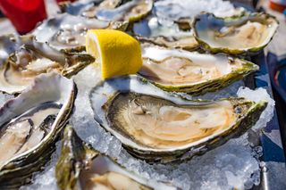 Oysters on ice in a bowl