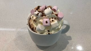 A finished hot chocolate with whipped cream, marshmallows and cocoa powder
