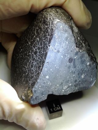 The Martian meteorite known as "Black Beauty."