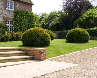 topiary balls creating structure on a lawn in a design by Bowles & Wyer