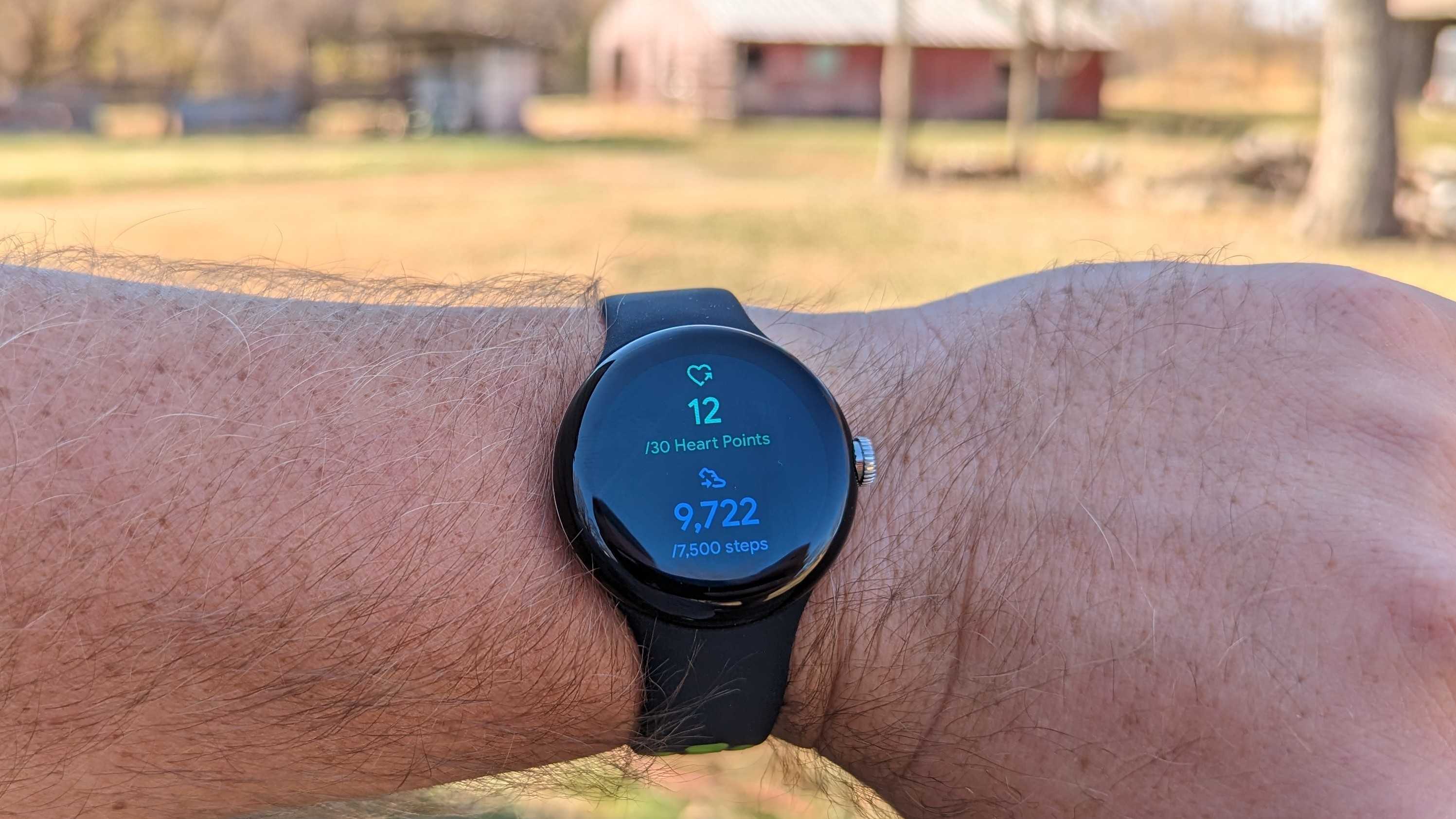 Google Fit heart points and steps on the Google Pixel Watch