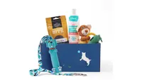 best puppy aid: Goody Box Puppy Toys, Treats and Accessories