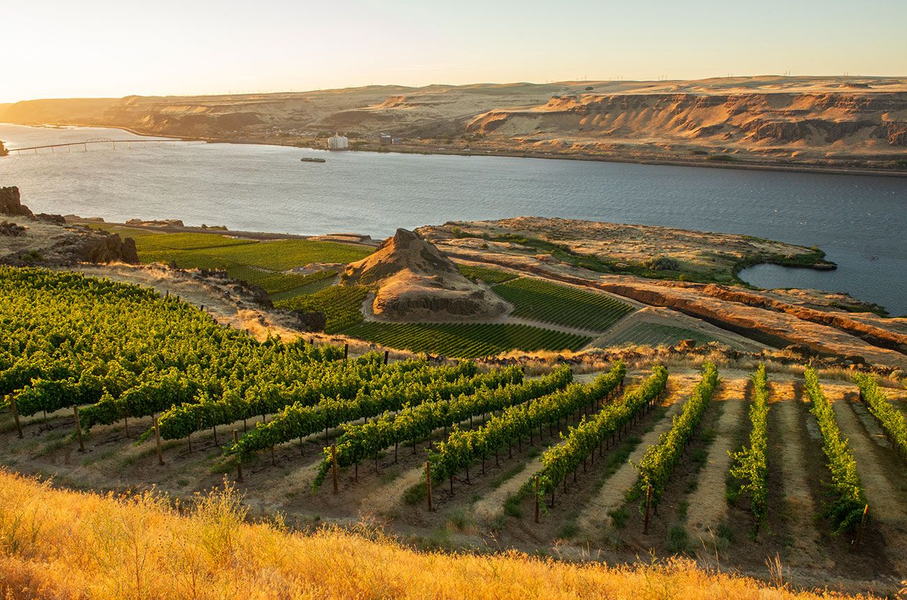 Washington wine quiz: Can you get a Super(Sonic) score?