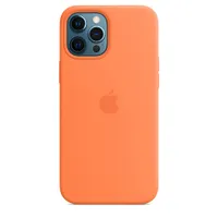 Check out iPhone 12 series MagSafe cases