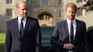 Prince William, Prince of Wales and Prince Harry, Duke of Sussex walk together to meet members of the public