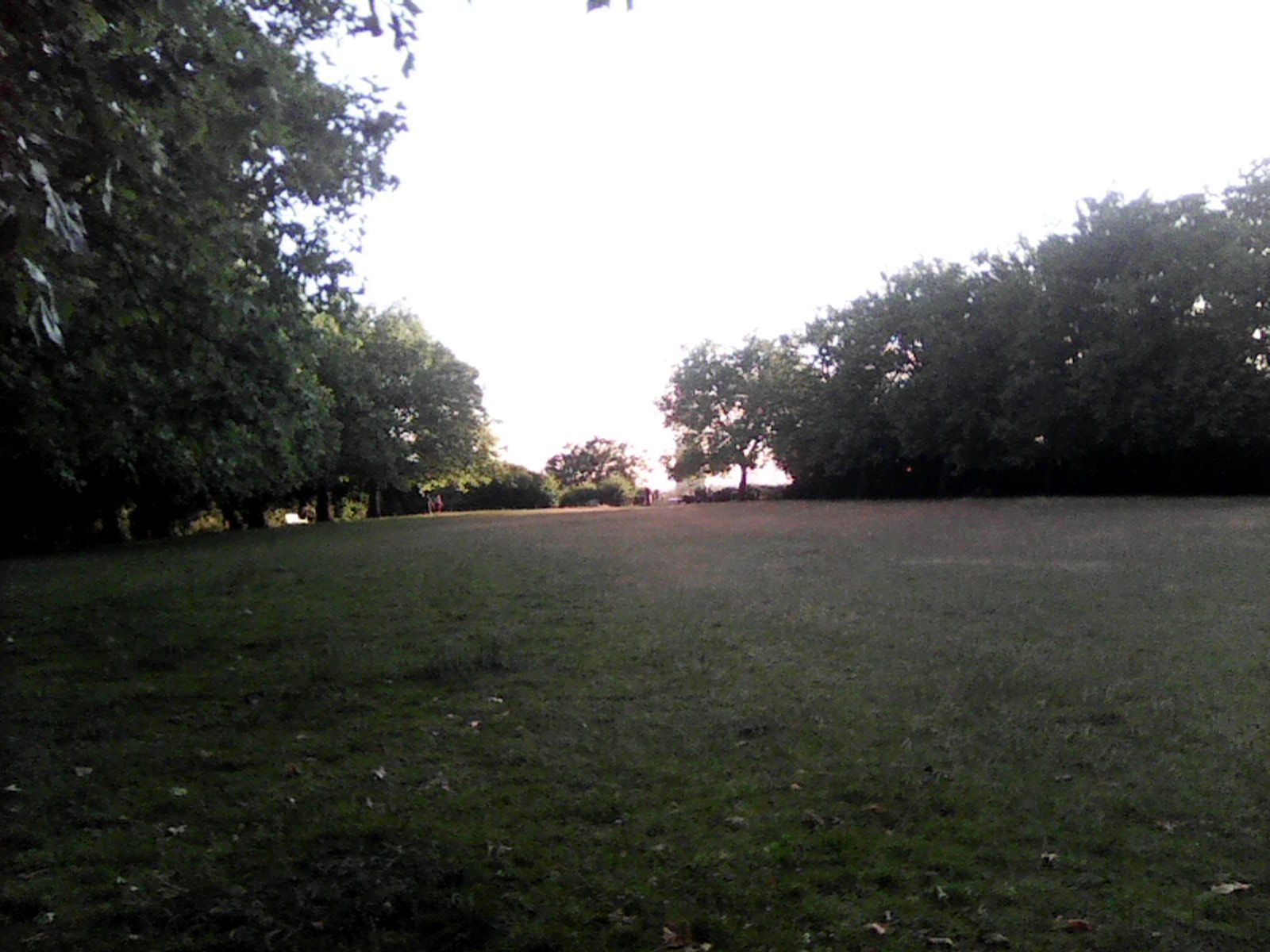 A photo taken on the Nokia 3210