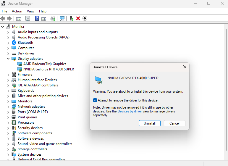 A screenshot from the Windows 11 Device Manager.
