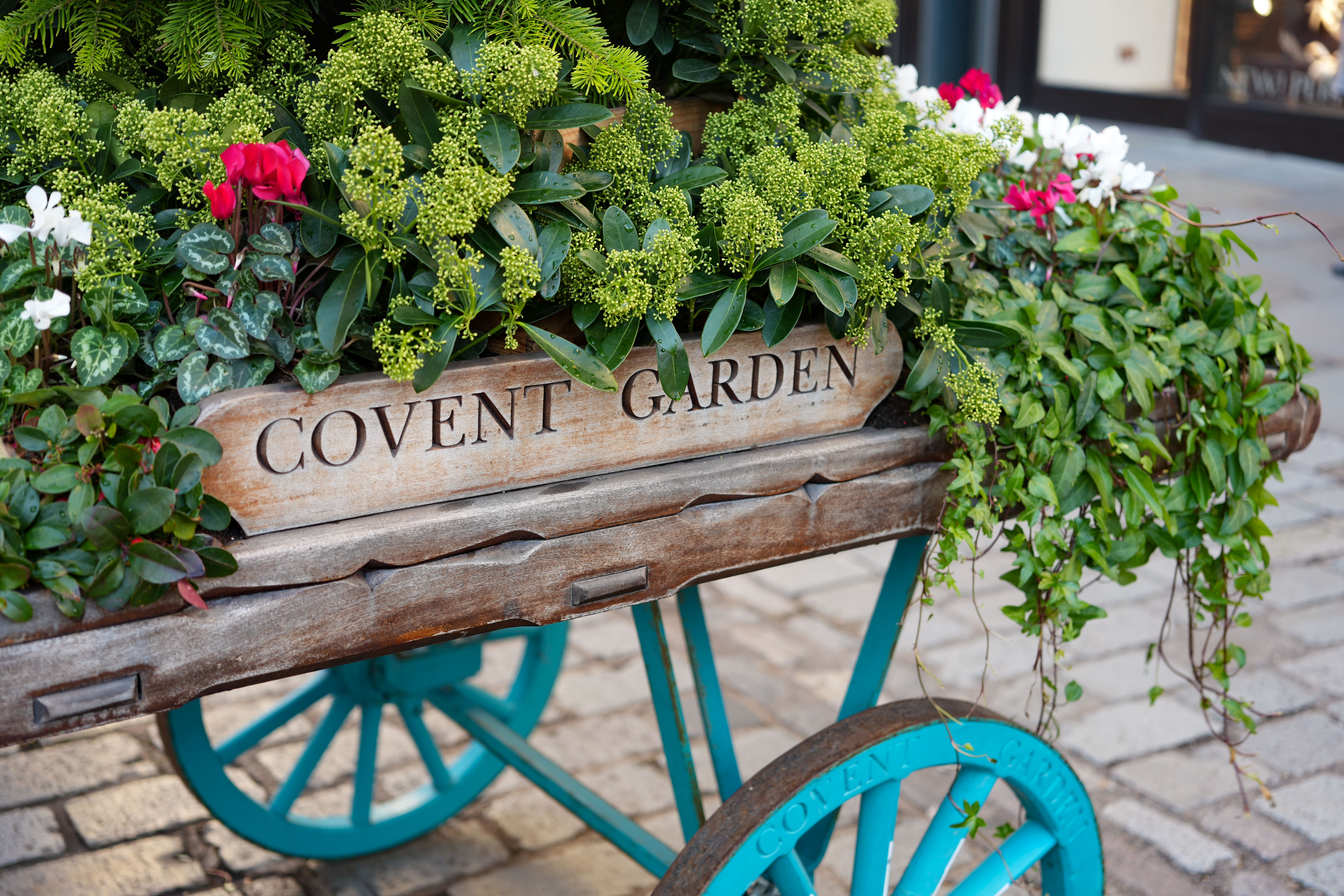 A wheelbarrow full of plants and flowers reading Covent Garden