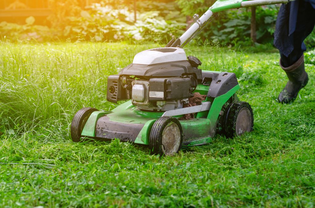 Garden Water Saving Tips
