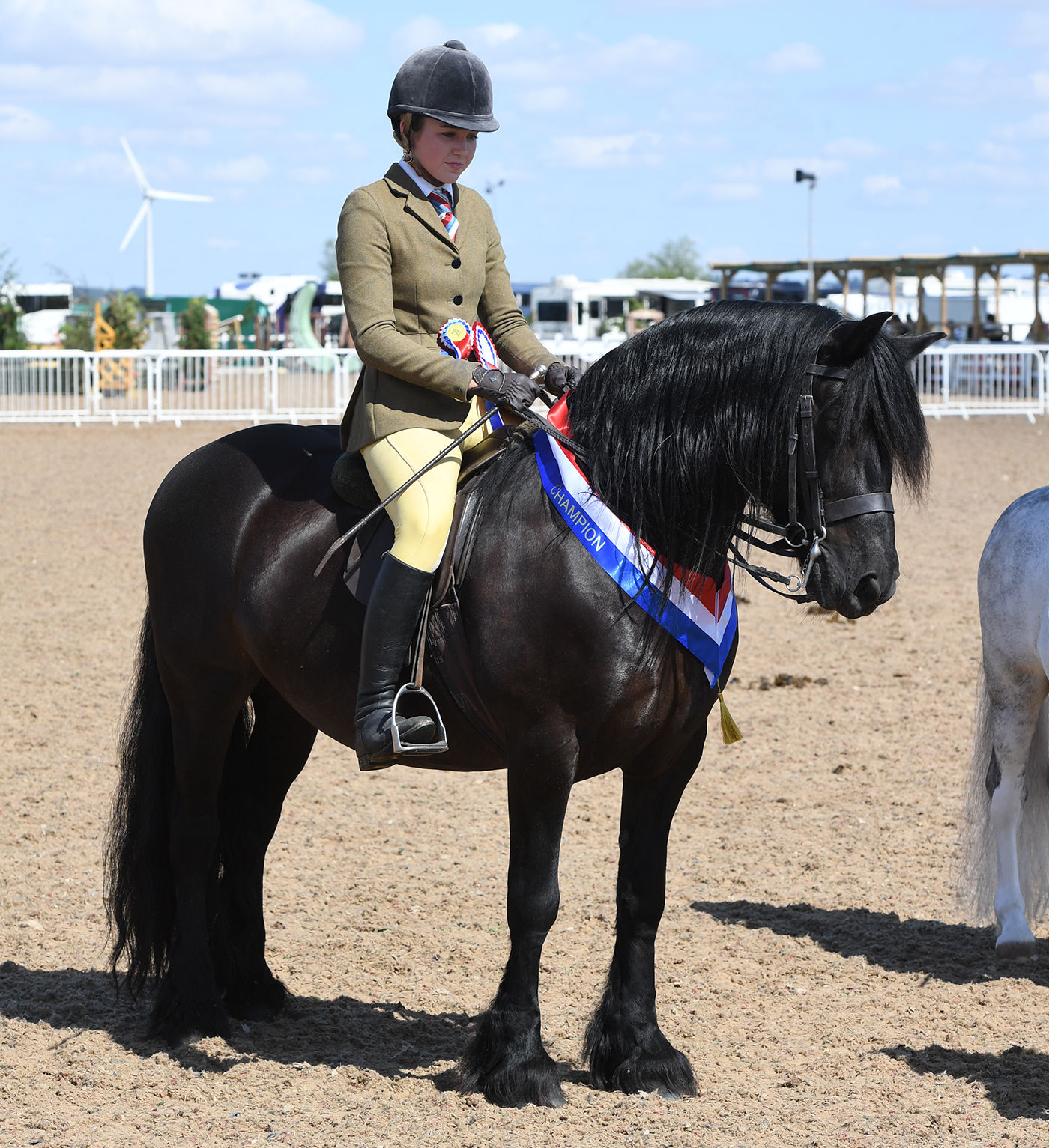 BSPS Champs. 26.08.22HOYS Y/Rider Champs.Champ. No. 520